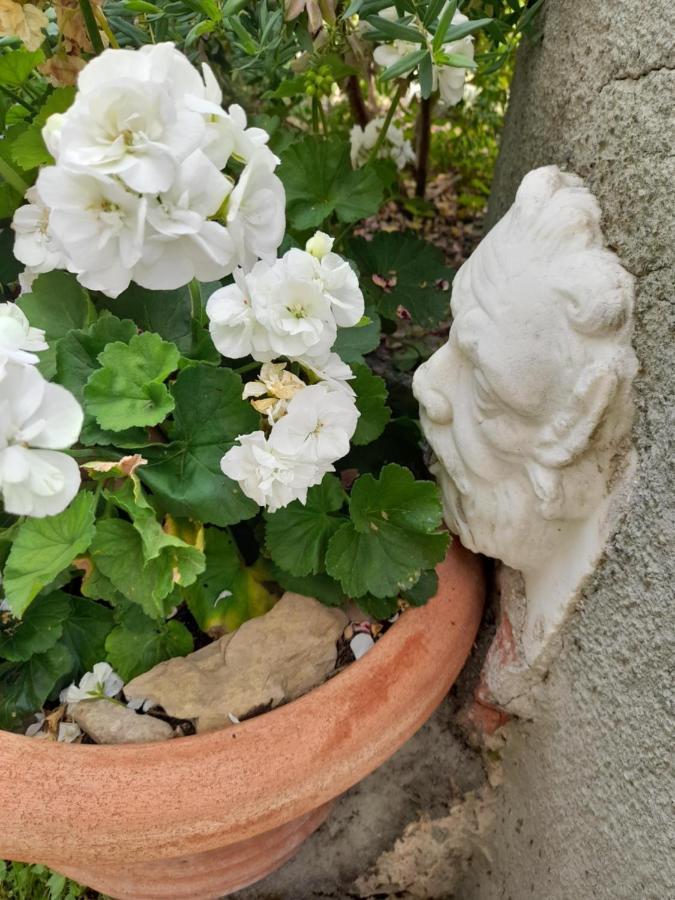 Monti Guesthouse Monti di Licciana Nardi エクステリア 写真